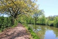Path by the Tiverton canal, Devon Royalty Free Stock Photo