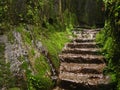 Path To Ancient Fort Lohgad-IV Royalty Free Stock Photo