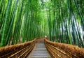 Path to bamboo forest, Arashiyama, Kyoto, Japan Royalty Free Stock Photo