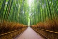 Path to bamboo forest, Arashiyama, Kyoto, Japan Royalty Free Stock Photo