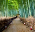 Path to bamboo forest, Arashiyama, Kyoto, Japan Royalty Free Stock Photo