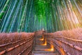 Path to bamboo forest at Arashiyama, Kyoto, Japan Royalty Free Stock Photo