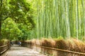 Path to bamboo forest, Arashiyama, Kyoto, Japan Royalty Free Stock Photo