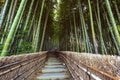 Path to bamboo forest, Arashiyama,