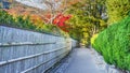 The Path to Bamboo Grov at Arashiyama in Kyoto Royalty Free Stock Photo