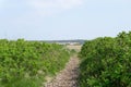 Path to the beach Royalty Free Stock Photo