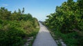 path to the beach in Bill Baggs Cape Florida State Park Royalty Free Stock Photo