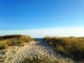 Path to the Beach