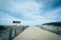 Path to the beach at Cape Henlopen State Park, in Rehoboth Beach Royalty Free Stock Photo