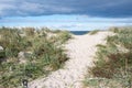 Path to beach in Denmark Royalty Free Stock Photo