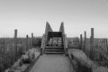 Path to the beach in Kismet, Fire Island, New York Royalty Free Stock Photo