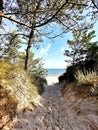 Path to the beach through the pine forest to the Baltic Sea in Poland, a paradise on the planet, family vacation