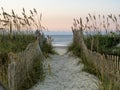 The path to the beach