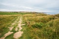 Path to Cran aux Ãâufs near Cap Griz Nez Royalty Free Stock Photo