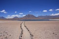 Path to a desert lake