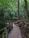 A path to the El Llobregat river spring, Catalonia, Spain