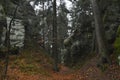 The path to the fabulous, mystical, autumn forest, which lies between the rocks and is located in