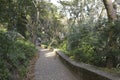 The path to go to Moors Castle in Sintra