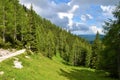 Path to Lipanca and a larch and spruce forest