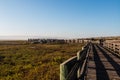 Path to Lookout Point at Tijuana River Estuarine