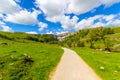 A path to Malham Cove Yorkshire Dales, England, UK Royalty Free Stock Photo