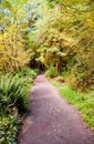 Path to Marymere Falls Royalty Free Stock Photo