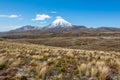 Path to Mount Ruapehu and Tama Lakes, Tongariro National Park, N Royalty Free Stock Photo