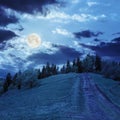 Path to mountain forest in moon light Royalty Free Stock Photo