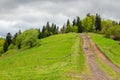 Path to mountain forest Royalty Free Stock Photo