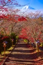 Path to Mt. Fuji in autumn, Fujiyoshida, Japan Royalty Free Stock Photo