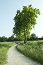 Path to nature Royalty Free Stock Photo