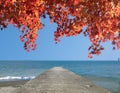 Path to nice sea beach in sunset sunshine with beautiful sky Royalty Free Stock Photo