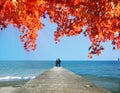 Path to nice sea beach in sunset sunshine with beautiful sky Royalty Free Stock Photo