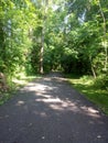 Path To Paradise - Golden Greenery