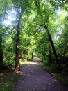 Path To Paradise - Golden Greenery