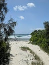 Northern beaches of Moreton island