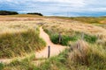 Path to sand beach with beachgrass. Way to the wide sandy beaches of the Atlantic. Royalty Free Stock Photo