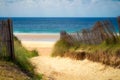 Path to sand beach with beachgrass. Way to the wide sandy beaches of the Atlantic.