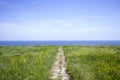 Path to the sea. yellow field. blue ocean. Royalty Free Stock Photo