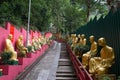 Path to Shatin 10000 Buddhas Temple, Hong Kong Royalty Free Stock Photo