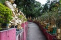 Path to Shatin 10000 Buddhas Temple, Hong Kong Royalty Free Stock Photo