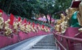 Path to Shatin 10000 Buddhas Temple, Hong Kong Royalty Free Stock Photo