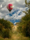 Path to the sky-a balloon flying over the forest and a path in a thicket of trees