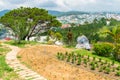 A path to the spruce overlooking the village in Dalat Vietnam Royalty Free Stock Photo