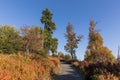 Path to the summit of Luzny, beautiful autumn sunny day. Lusen m