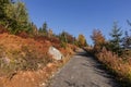 Path to the summit of Luzny, beautiful autumn sunny day. Lusen m