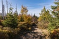 Path to the summit of Luzny, beautiful autumn sunny day. Lusen mountain Bayerischer Wald nationalpark. Mountain Lusen in the bavar