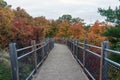 The path to Thomas Rock, Marquette County, Michigan, USA