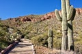 Path to Tonto National Monument