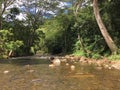 Path to Uluwehi Falls, Secret Falls in Summer in Wailua on Kauai Island in Hawaii. Royalty Free Stock Photo